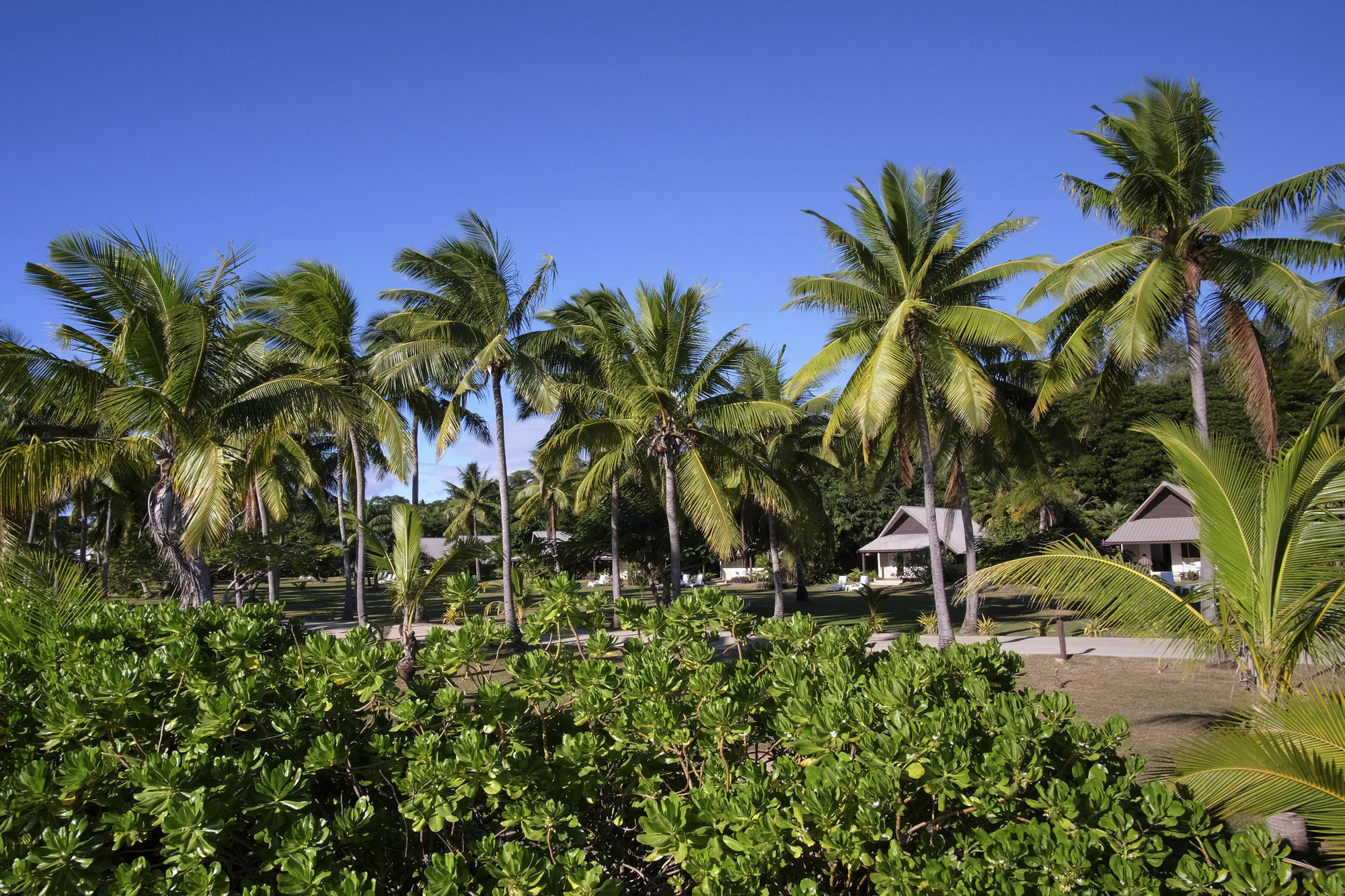 Musket Cove Island Resort Malololailai Екстериор снимка